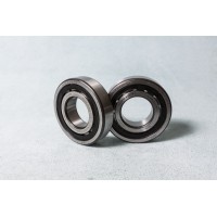 ZD 900 Cylinderbearing 9-04